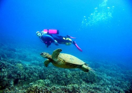 Scuba Luv Maui diver