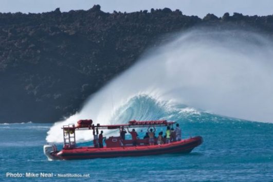 Redline Rafting Molokini Snorkeling