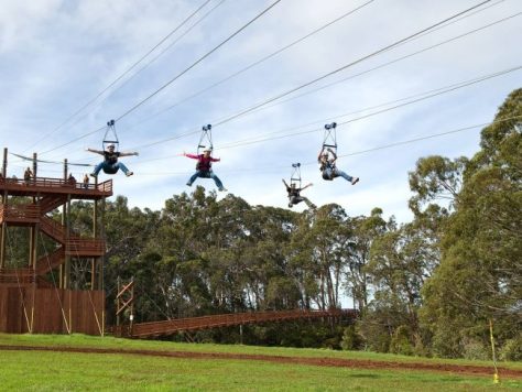 Piiholo-First-line-Zipline