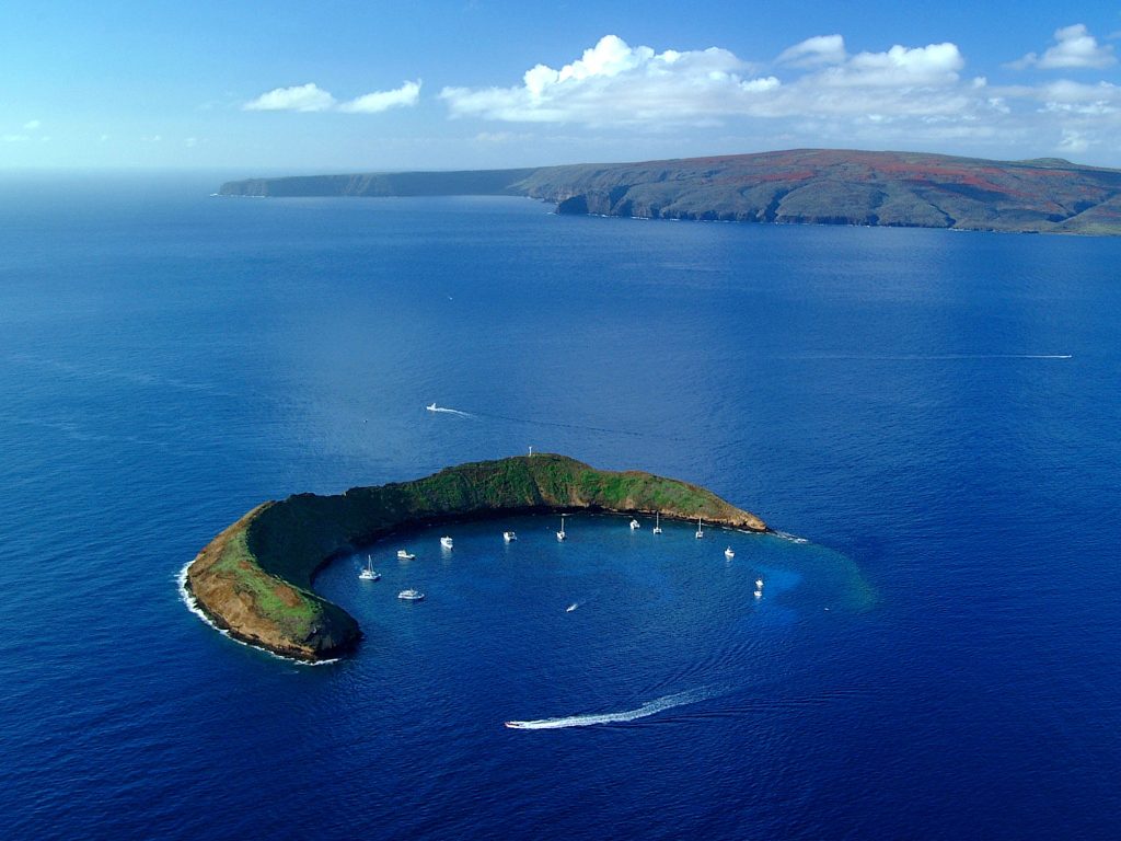 maui snorkeling molokini catamaran