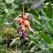 Jungle-Zipline